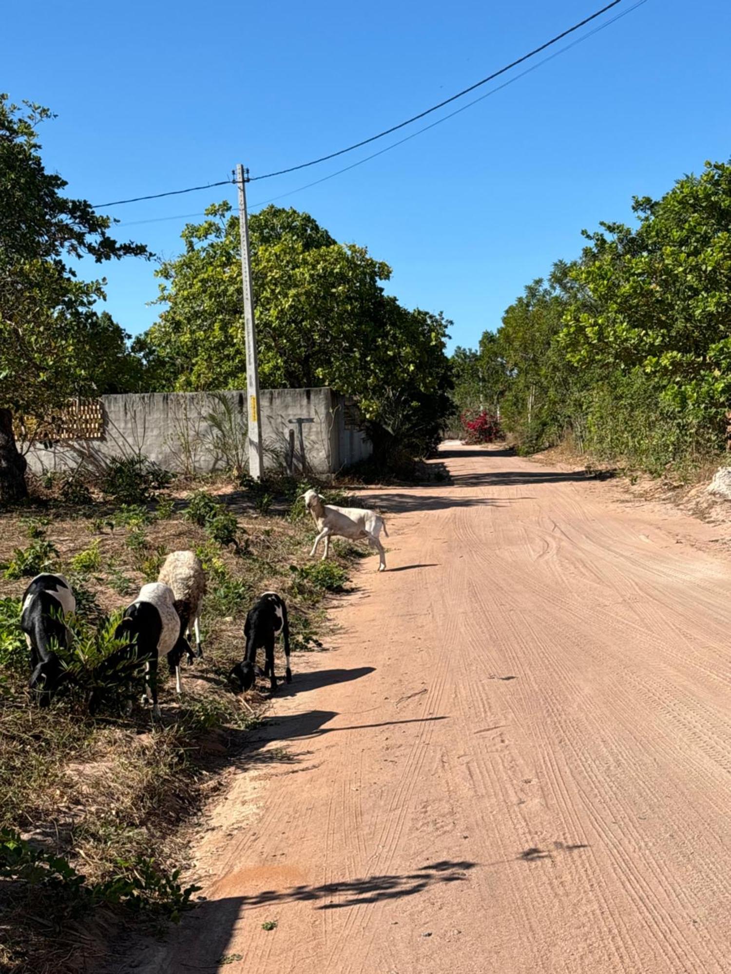 Casa Da Lagoa Jijoca de Jericoacoara Luaran gambar
